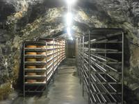 Arzberg Stollenkäserei