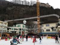 Vaduz mit Fürstenschloss