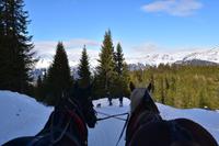 012 Pferdeschlittenfahrt am Katschberg