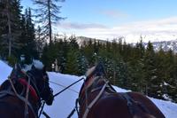 013 Pferdeschlittenfahrt am Katschberg