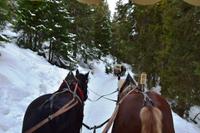 014 Pferdeschlittenfahrt am Katschberg