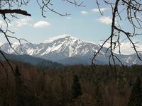 Blick zum Schneeberg