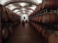 Im Weinkeller
