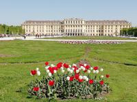 Im Park von Schönbrunn