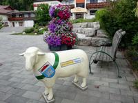 Ortsrundgang in Haus