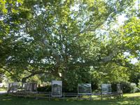 DSCN4045  Schlosspark