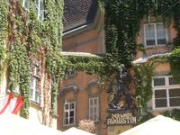 DSCN4154   der liebe Augustin