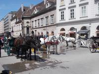 DSCN4160   Fiaker in Wien