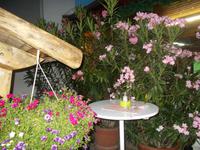 DSCN4243  beim Heurigen