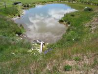 Alpenwiese,Goldeckpanoramastraße