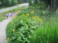 Villacher Alpenstraße