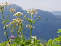 Wanderweg vom Fellhorn zur Kanzelwand