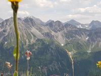 Blick vom Walmedingerhorn