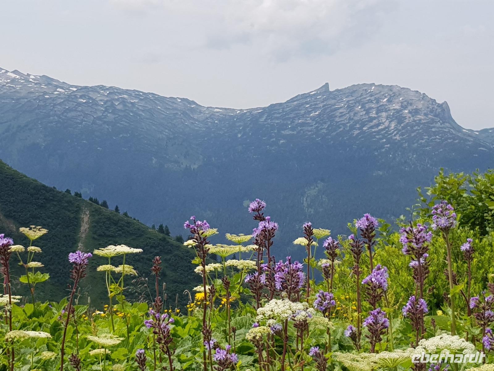 Blick vom Walmedingerhorn