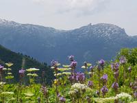 Blick vom Walmedingerhorn