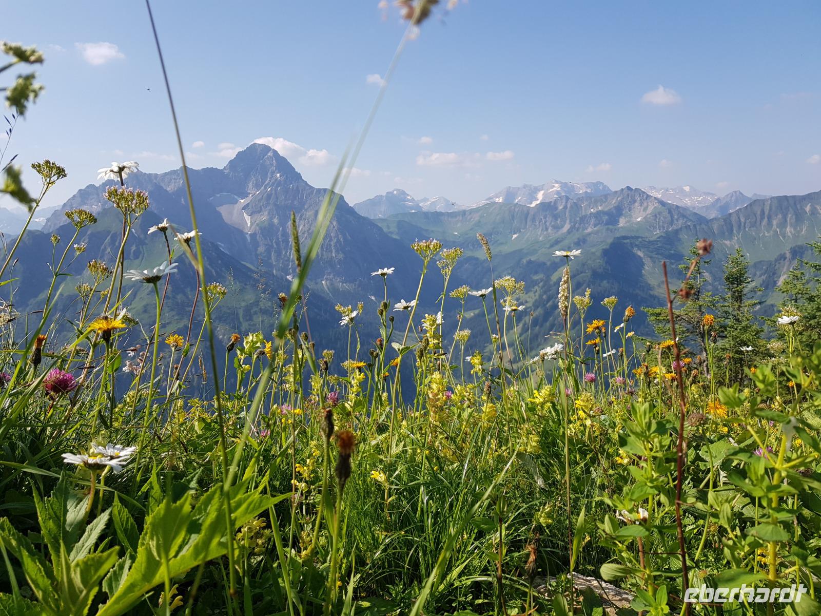 Blick vom Walmedingerhorn
