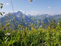 Blick vom Walmedingerhorn