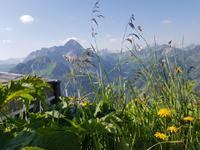 Blick vom Walmedingerhorn