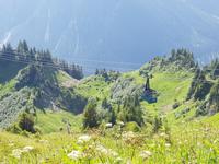Blick vom Walmedingerhorn