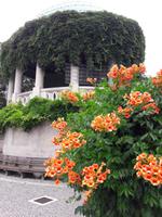 Baden Kurpark Beethovenpavillon