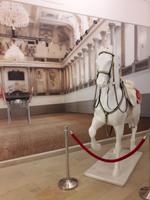 Spanische Hofreitschule 3