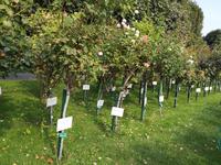 1 Tag A Stadtspaziergang (3)