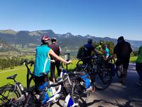 Blick auf den Walchsee