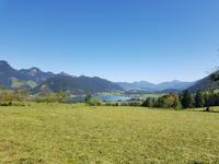 Blick auf den Walchsee
