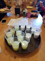 Niederkaser Verkostung