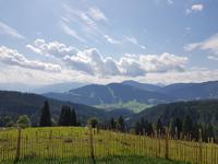 Wochenbrunner Alm