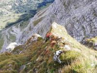 Oberstdorf, Nebelhorn