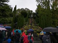Inselführung auf der Mainau