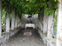 Inselführung auf der Mainau