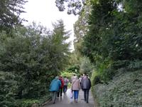 Inselführung auf der Mainau