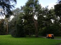 Inselführung auf der Mainau