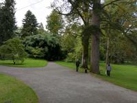 Inselführung auf der Mainau