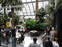 Inselführung auf der Mainau