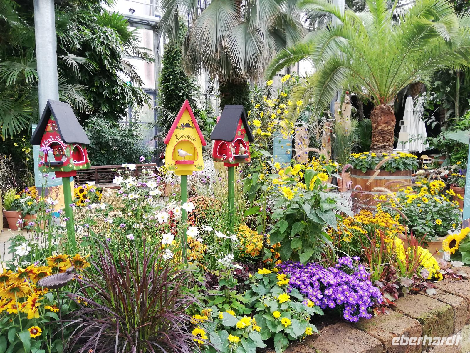 Inselführung auf der Mainau