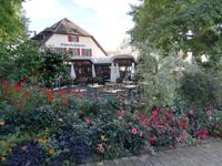 Inselführung auf der Mainau