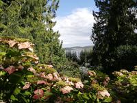 Inselführung auf der Mainau