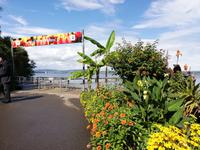 Inselführung auf der Mainau