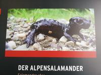 Oberstdorf, Fellhorn