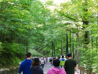 Schloss Neuschwanstein, unser Weg zum Parkplatz