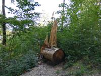 Schloss Neuschwanstein, unser Weg zum Parkplatz