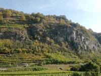 Fahrt durch die Wachau