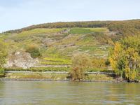 Schifffahrt auf der Donau
