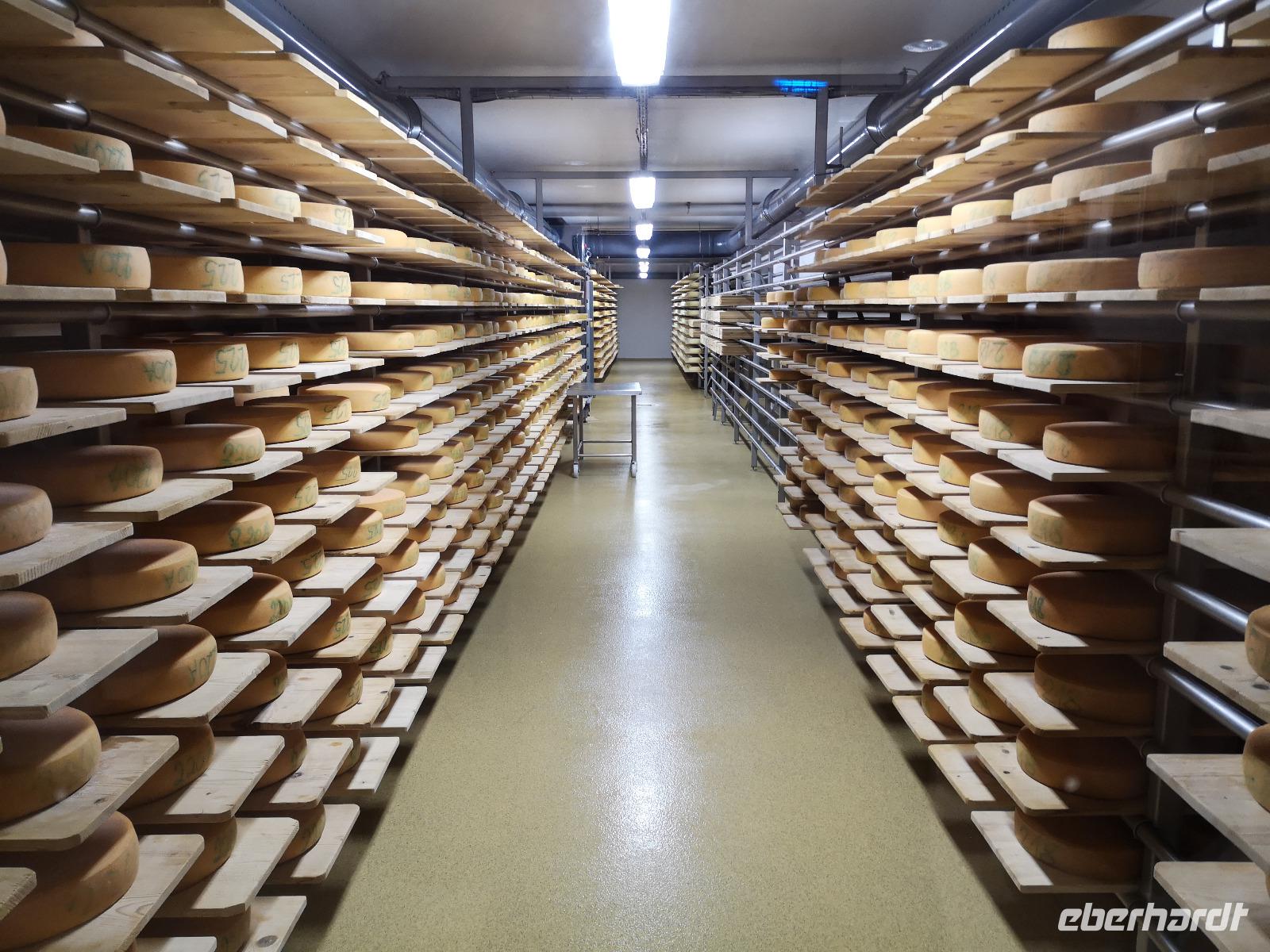 3.Tag Käserei in Kreuth (5)