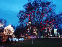 Christkindelmarkt am Rathaus