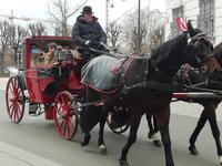 Fiaker in Wien