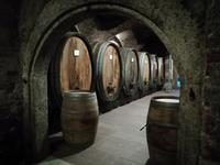 Im Weinkeller